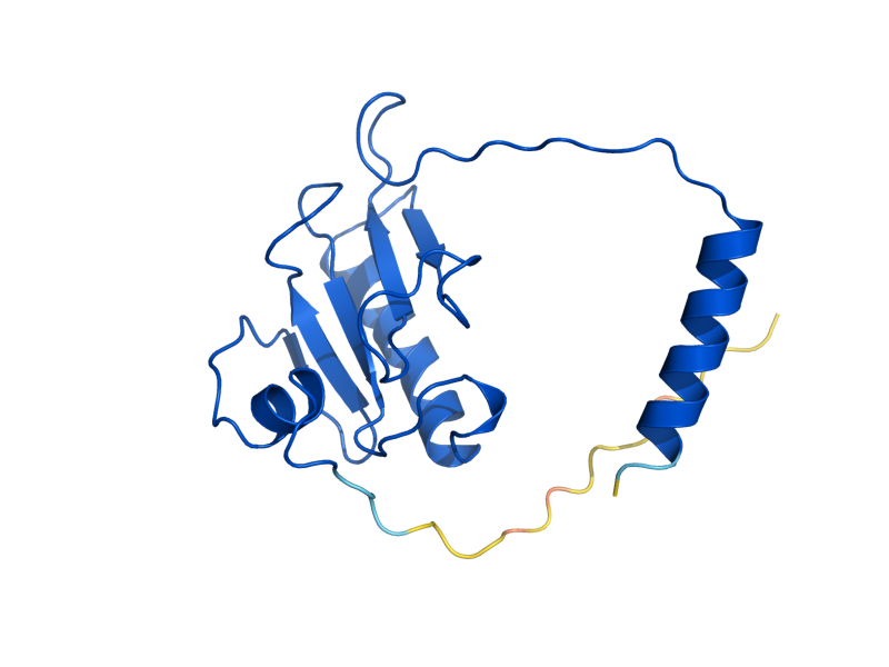 AlphaFold predicted structure of HNT1