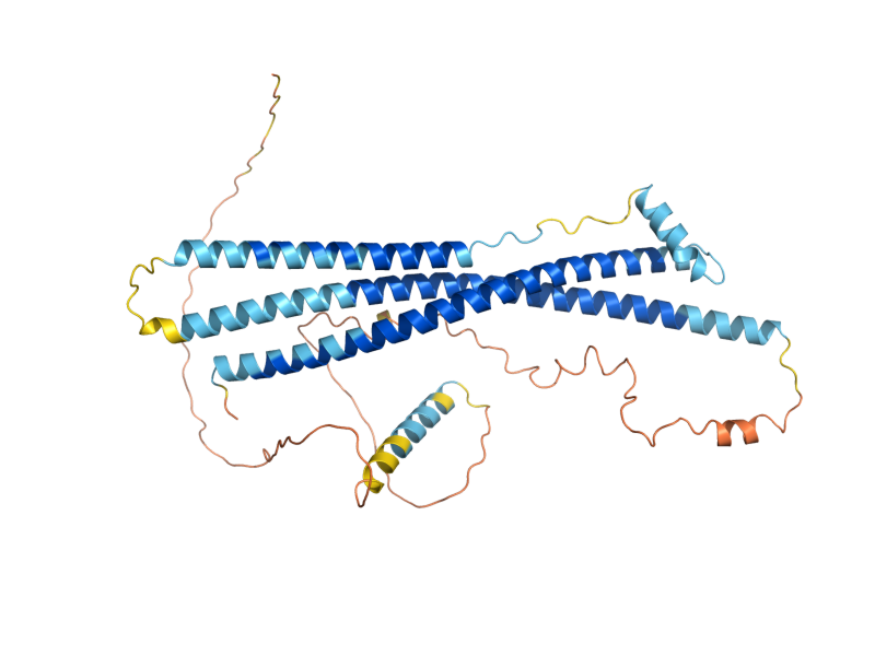 AlphaFold predicted structure of SPO20