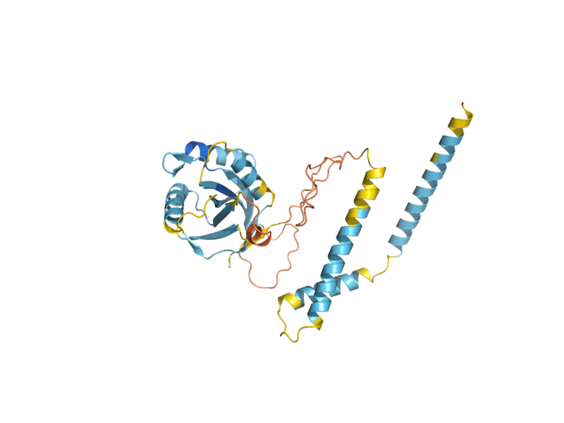 AlphaFold predicted structure of CSI1