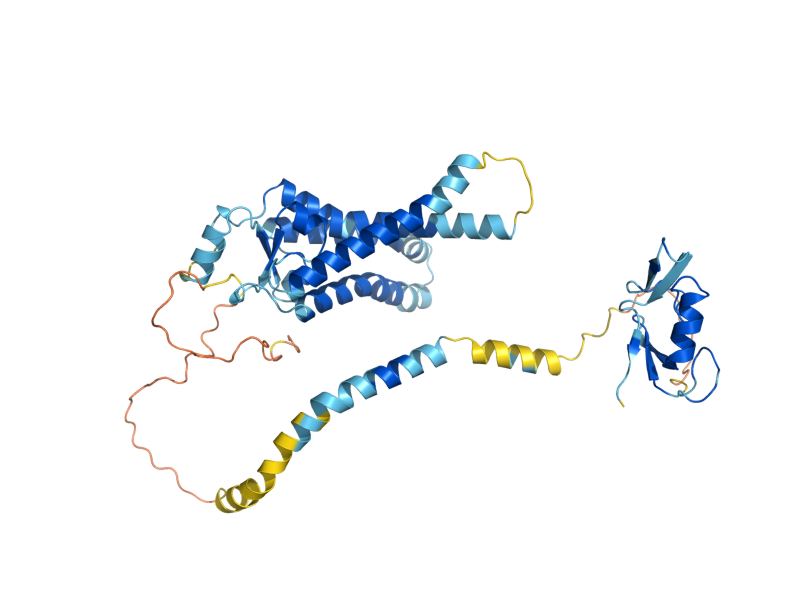 AlphaFold predicted structure of PEX12