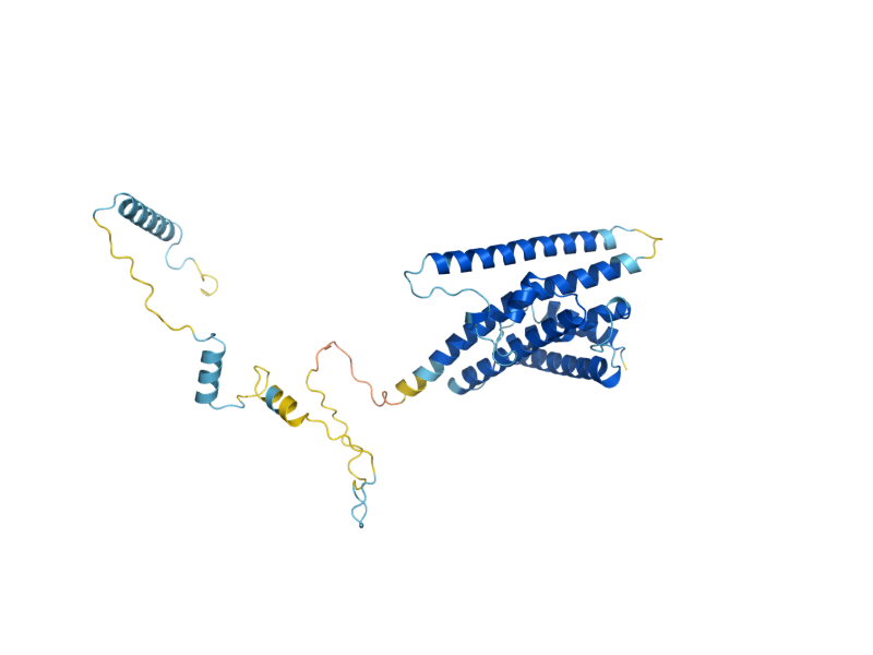 AlphaFold predicted structure of TAP42
