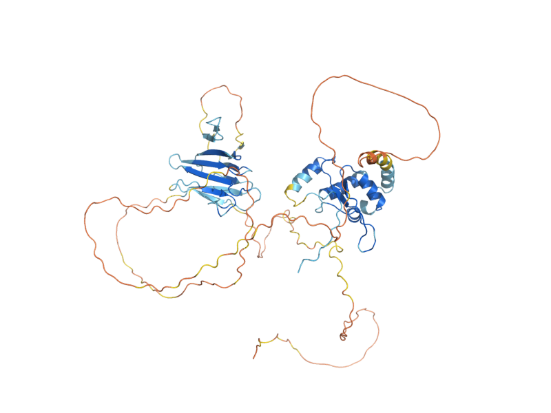 AlphaFold predicted structure of PLM2