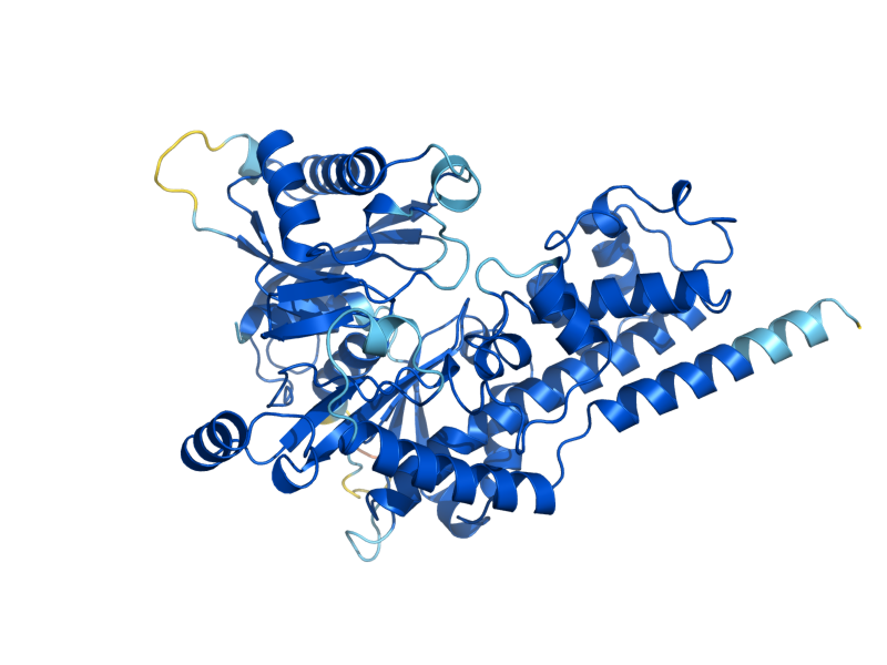 AlphaFold predicted structure of EMI2