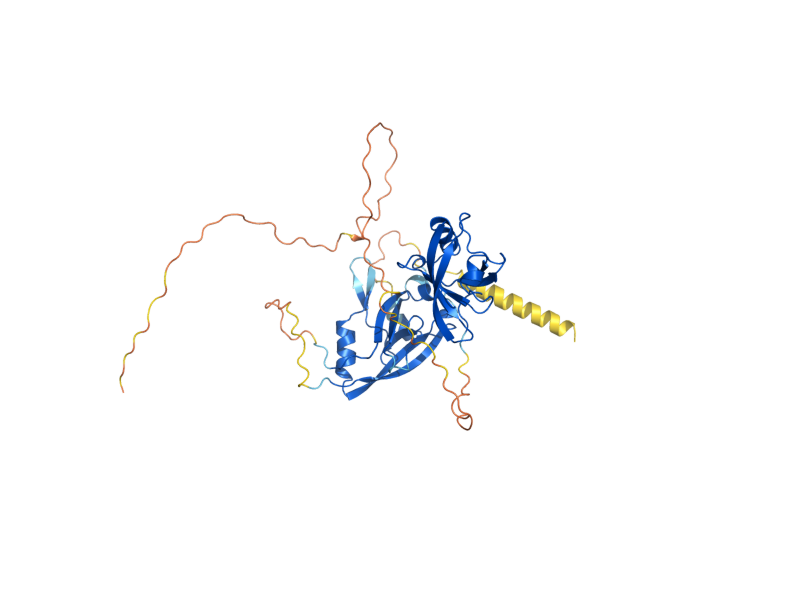 AlphaFold predicted structure of GRH1