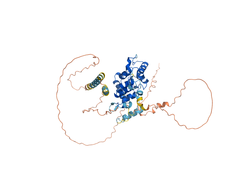 AlphaFold predicted structure of AGE1