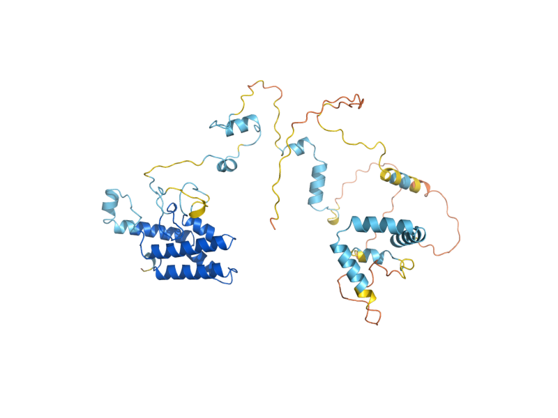 AlphaFold predicted structure of RBA50