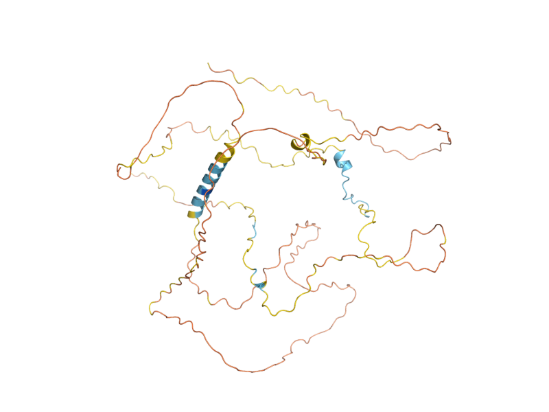 AlphaFold predicted structure of HLR1