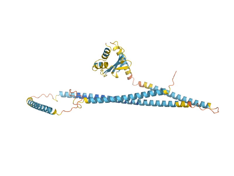 AlphaFold predicted structure of KRE28