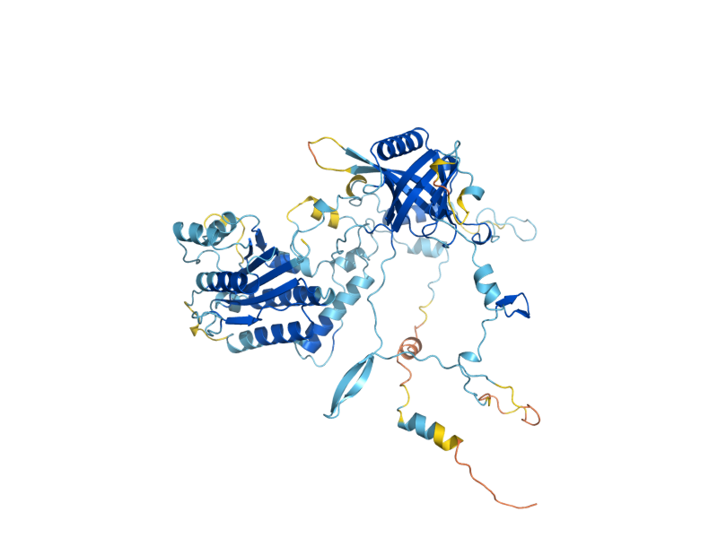 AlphaFold predicted structure of YKU80