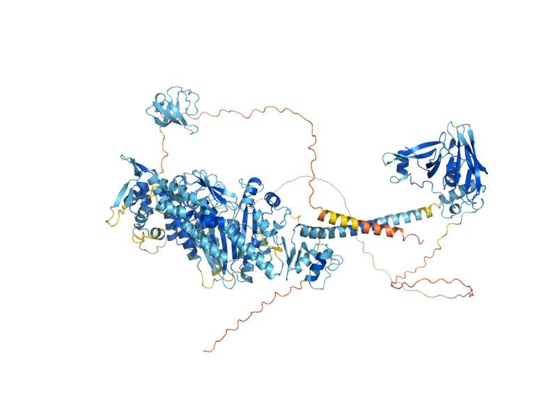 AlphaFold predicted structure of MYO5