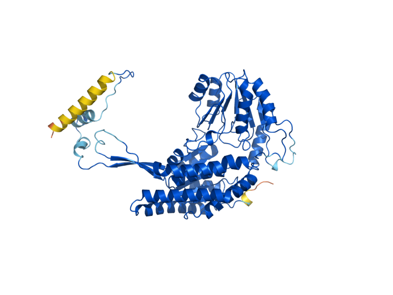 AlphaFold predicted structure of HFD1
