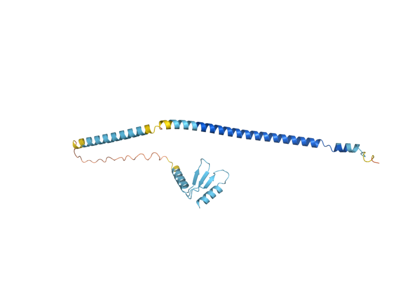 AlphaFold predicted structure of SPC24