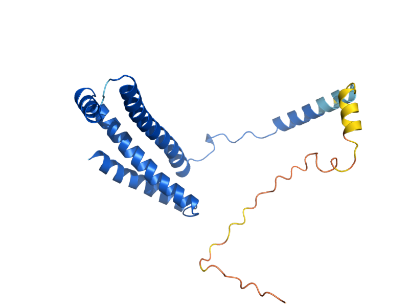 AlphaFold predicted structure of SHH3