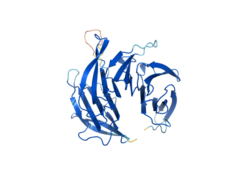 AlphaFold predicted structure of SEC13