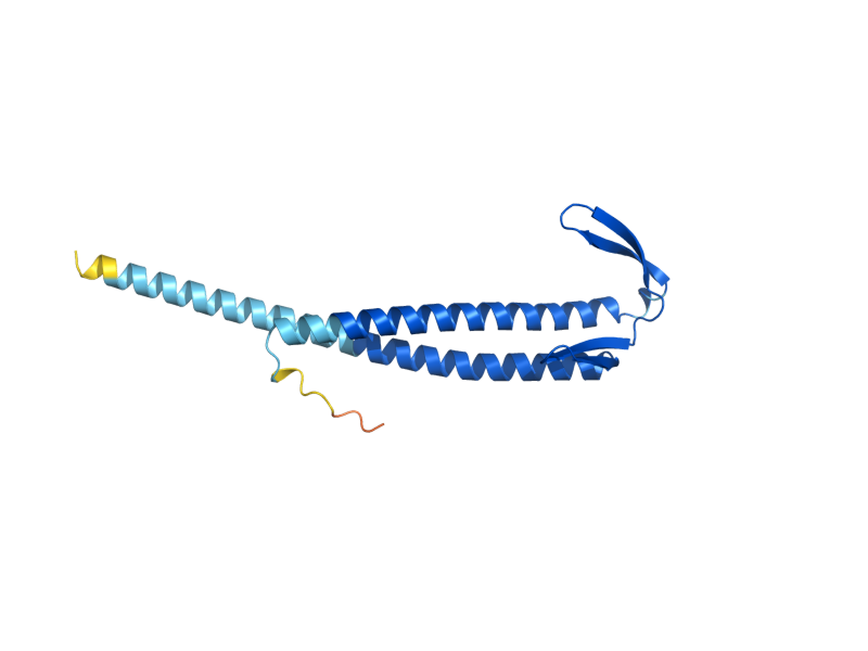 AlphaFold predicted structure of GIM5