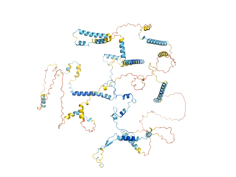 AlphaFold predicted structure of UTP14