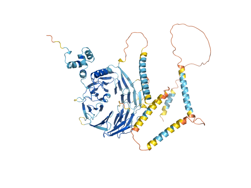 AlphaFold predicted structure of UFO1