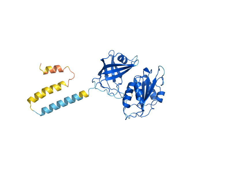 AlphaFold predicted structure of AIM33