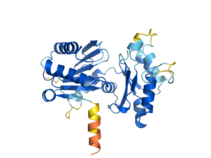AlphaFold predicted structure of ARP10