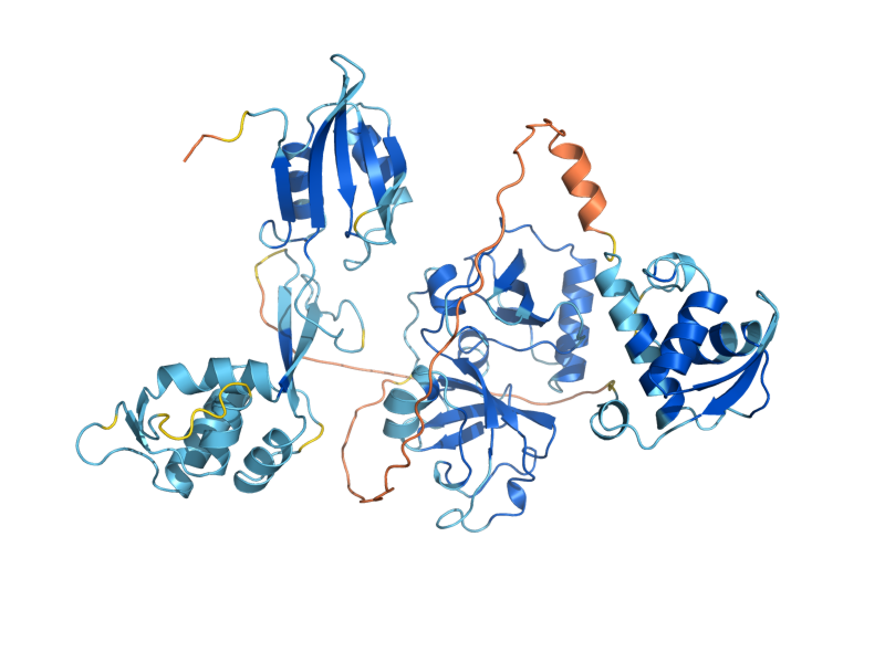 AlphaFold predicted structure of TMA64