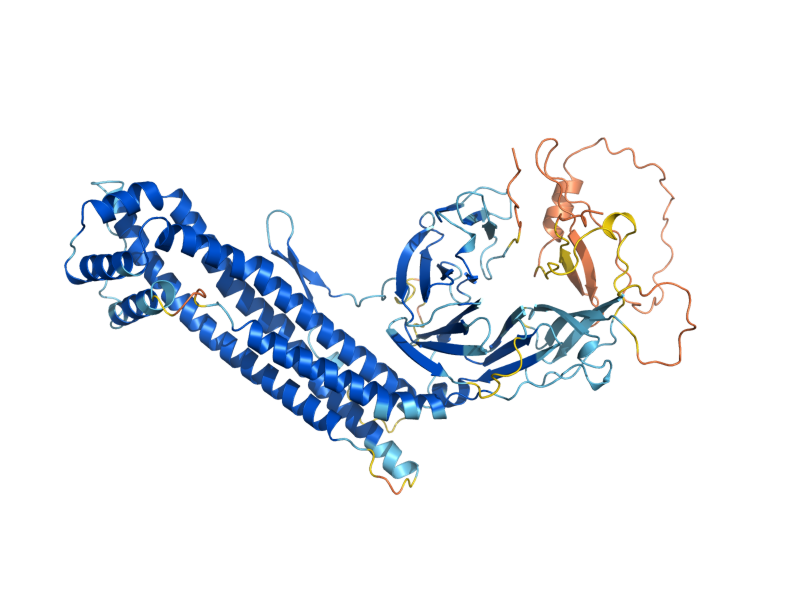 AlphaFold predicted structure of APC4