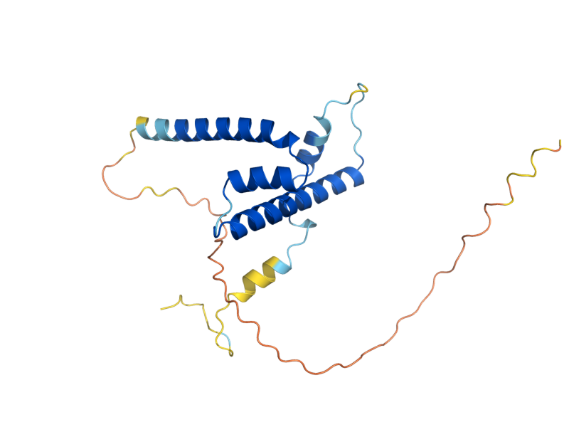 AlphaFold predicted structure of DPB4