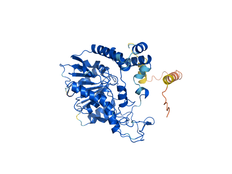 AlphaFold predicted structure of ECM18