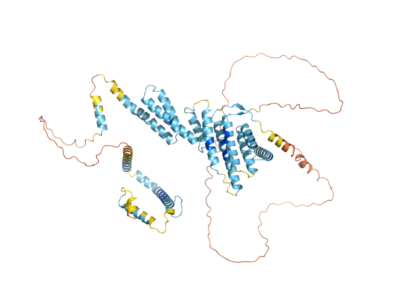 AlphaFold predicted structure of COG8