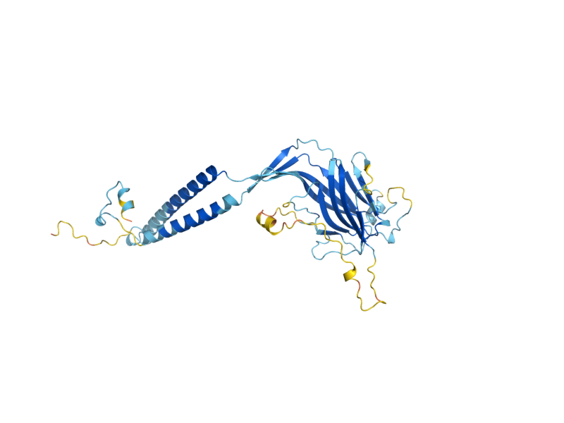 AlphaFold predicted structure of ERV41