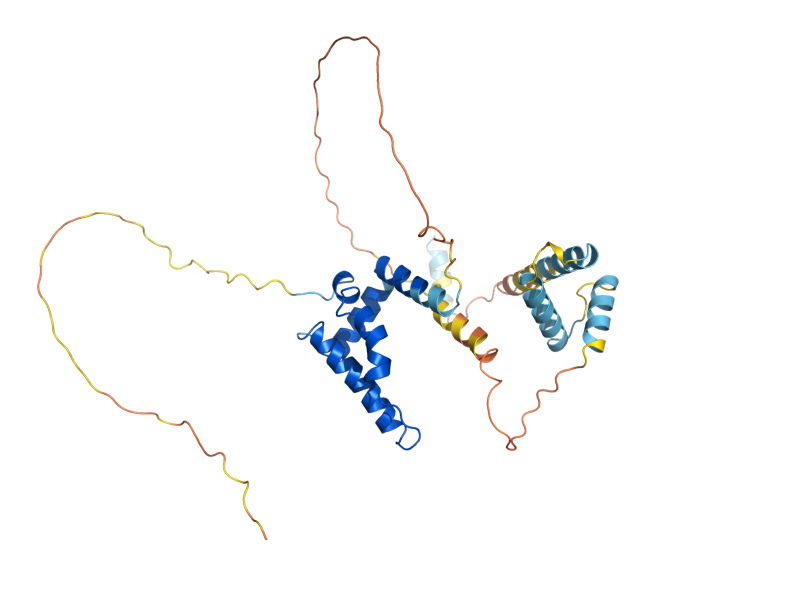 AlphaFold predicted structure of CSM3