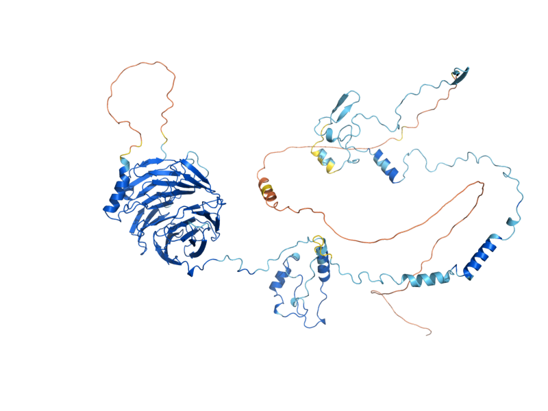AlphaFold predicted structure of ERB1