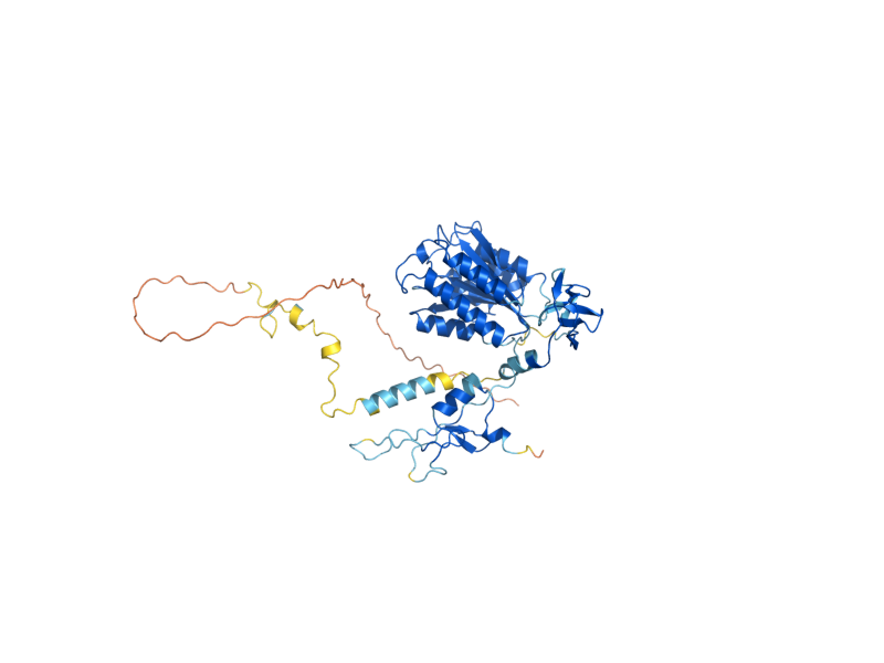 AlphaFold predicted structure of SSL1