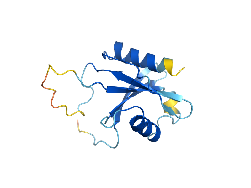 AlphaFold predicted structure of SEN15