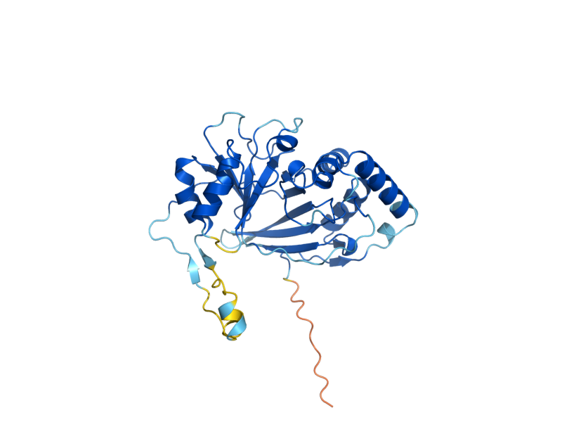 AlphaFold predicted structure of AIM32