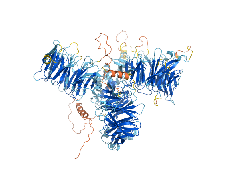 AlphaFold predicted structure of RSE1