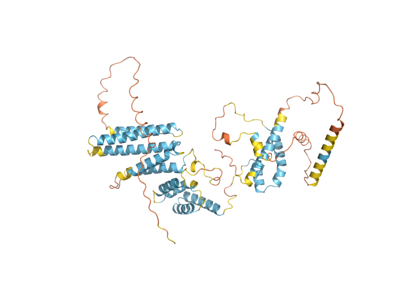 AlphaFold predicted structure of RRN11