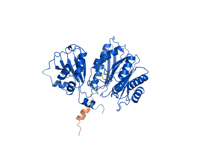 AlphaFold predicted structure of ARG7