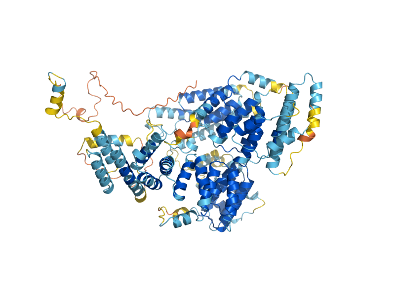 AlphaFold predicted structure of SOV1