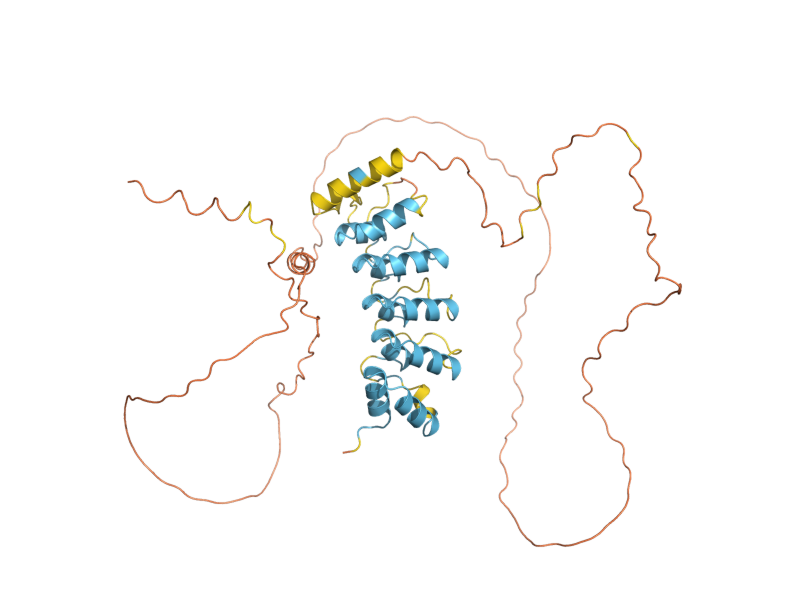 AlphaFold predicted structure of AVO2