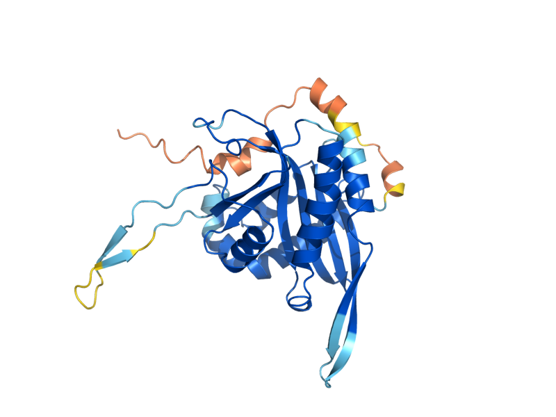 AlphaFold predicted structure of NAT4