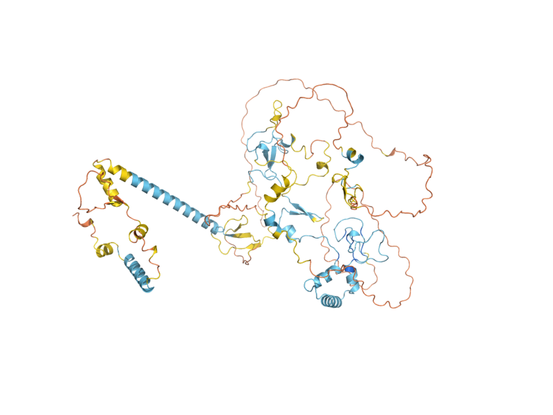 AlphaFold predicted structure of RCO1