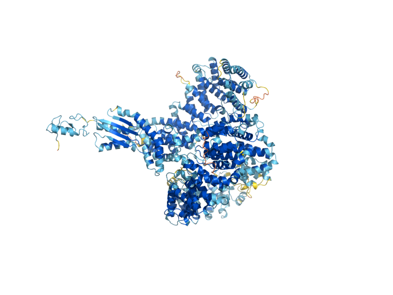 AlphaFold predicted structure of RKR1