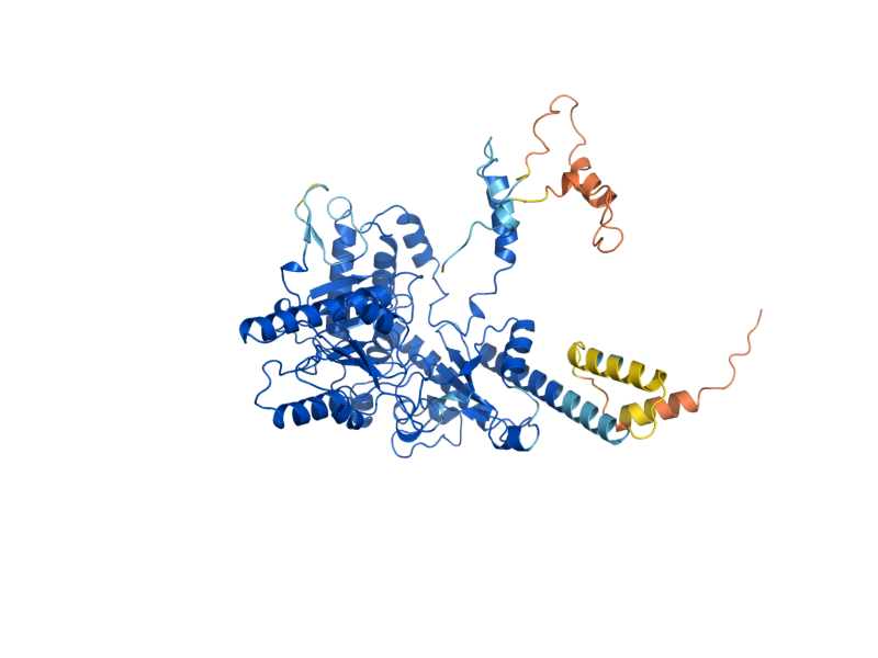 AlphaFold predicted structure of GAD1