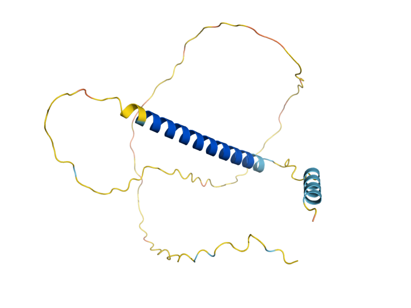 AlphaFold predicted structure of GFD1