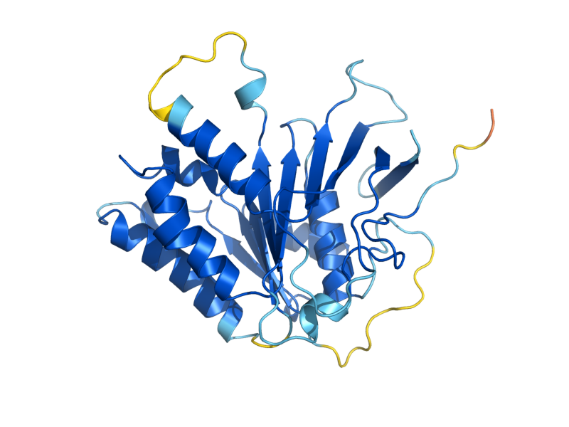 AlphaFold predicted structure of ELP6