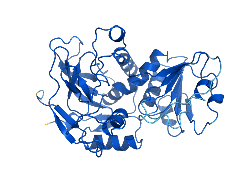AlphaFold predicted structure of ADH6