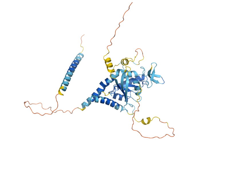 AlphaFold predicted structure of SPR28