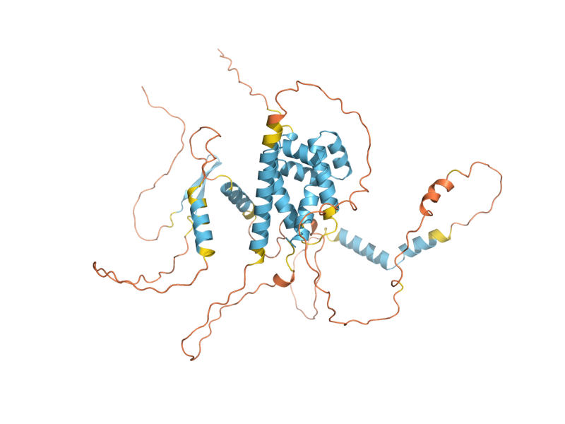 AlphaFold predicted structure of MFB1