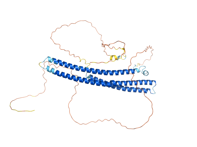 AlphaFold predicted structure of IVY1