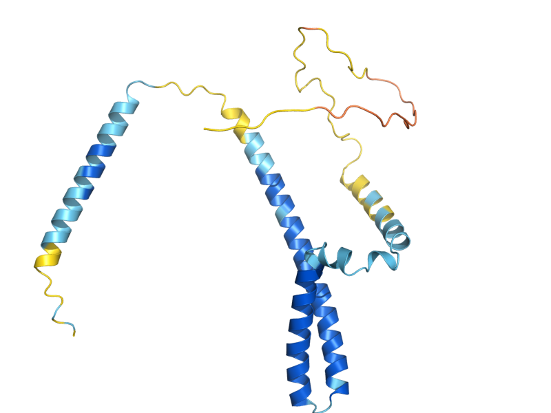 AlphaFold predicted structure of COX20